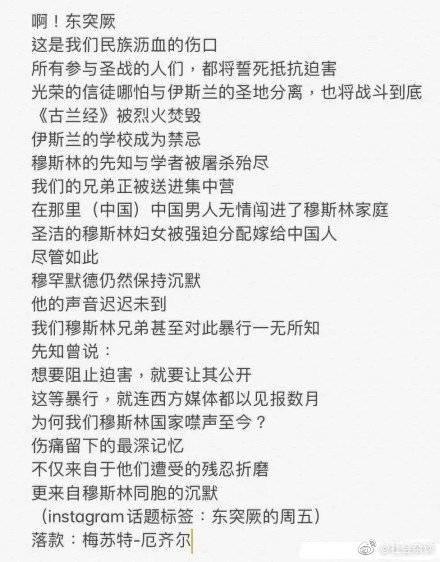 厄齐尔发表不当言论，厄齐尔不当言论的原话!