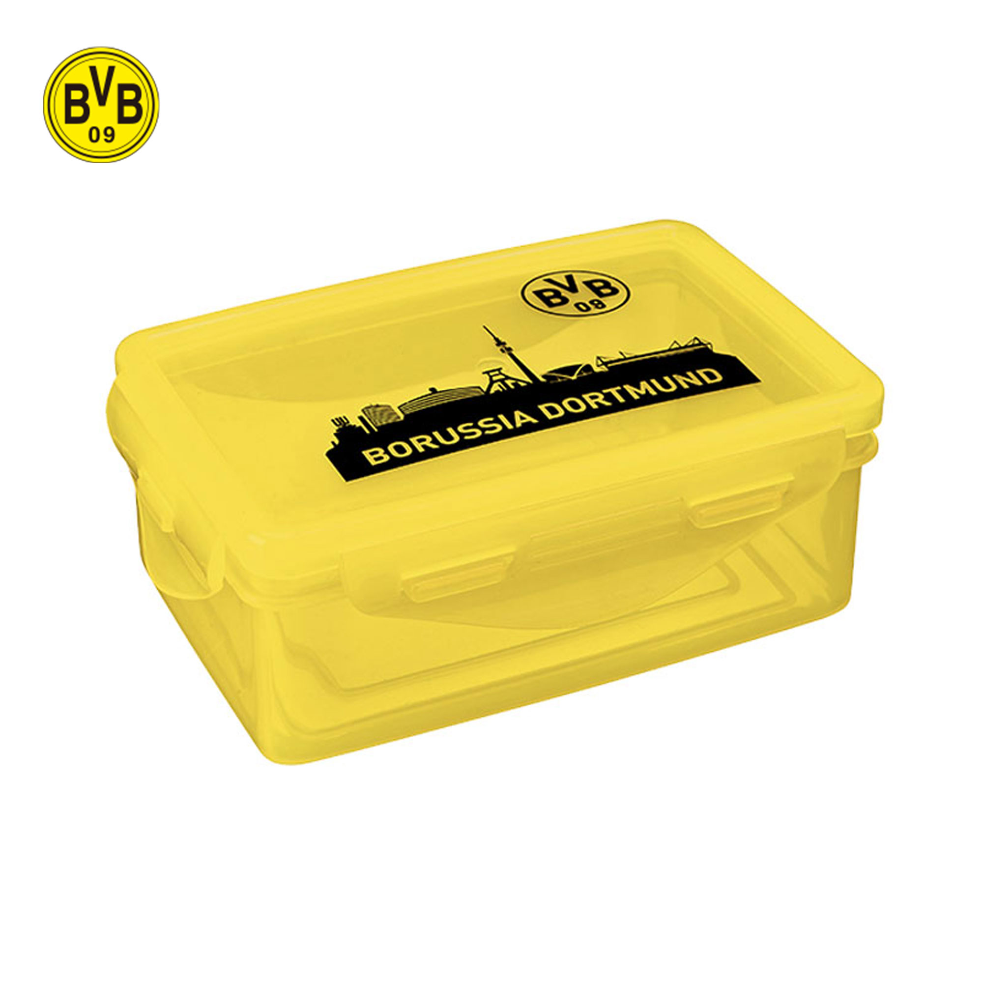 bvb，bvb是哪个俱乐部!