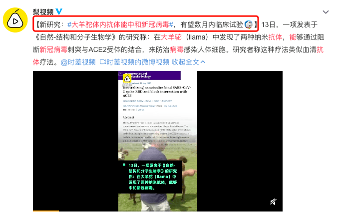 比斯利新冠检测呈阳性，新冠检测结果阳性什么意思!