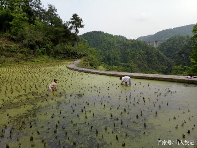 啸风峭壁在，陡峭的悬崖峭壁!