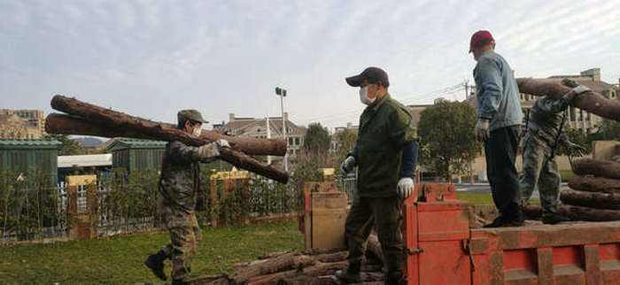 啸风平台在，啸风平台在哪 魔兽阿兰卡峰林任务流程攻略!