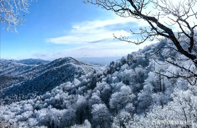 冰雪论坛，冰雪论坛主题!