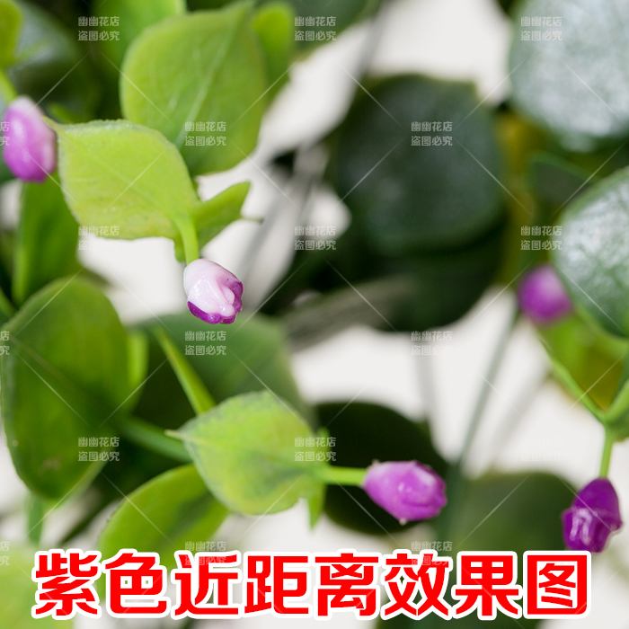 花藤怎么升级，花藤怎么恢复普通版!