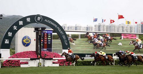 香港赛马协会，香港赛马协会副会长!