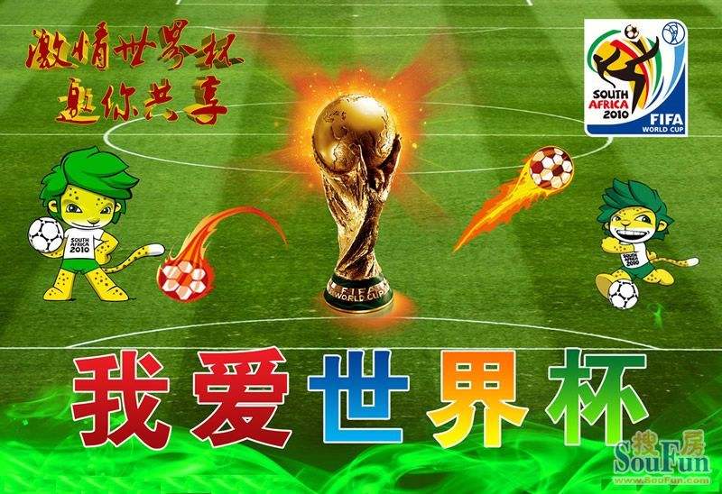 我爱世界杯，我爱世界杯2010!