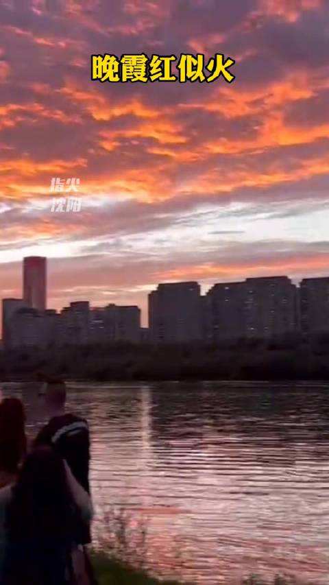 沈城，沈城小人物小说!