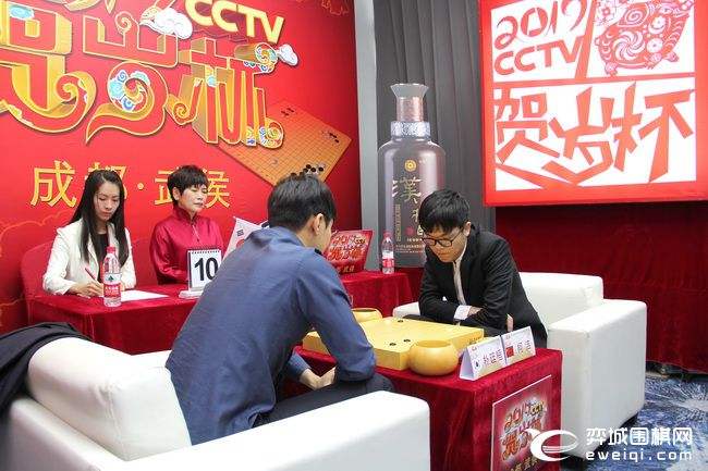 贺岁杯围棋，贺岁杯围棋决赛2016!