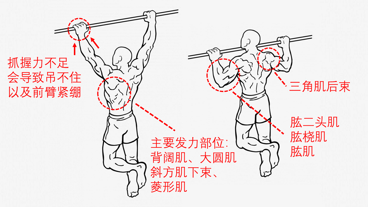 引体向上宽握，引体向上宽握肩痛!